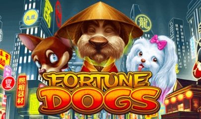Fortune Dogs 