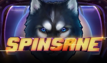 Spinsane 