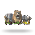 Africa Goes Wild