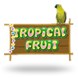 Tropical Fruit logotype