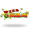 Wild Melon