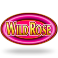 Wild Rose