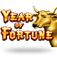 Year Of Fortune